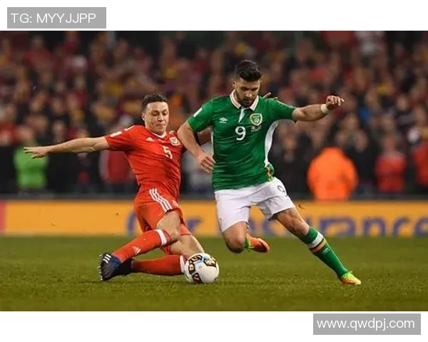 葡萄牙与立陶宛比赛前瞻分析及胜负预测详解